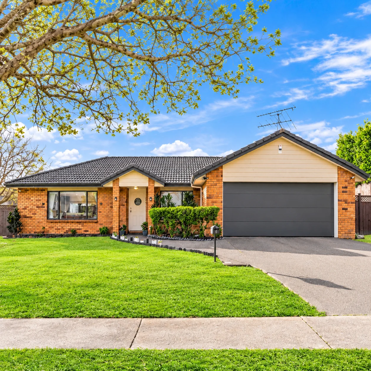 Randwick Park 3Moenga Single Level Solid Brick & Tile  Home