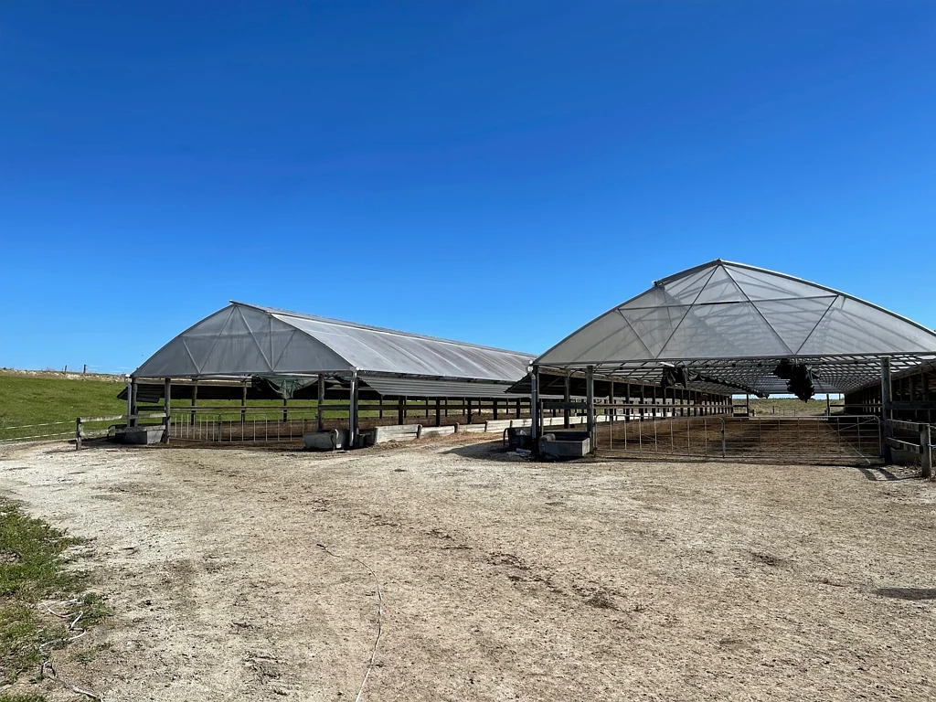 Dargaville Prestigious Dairy Unit - 115ha