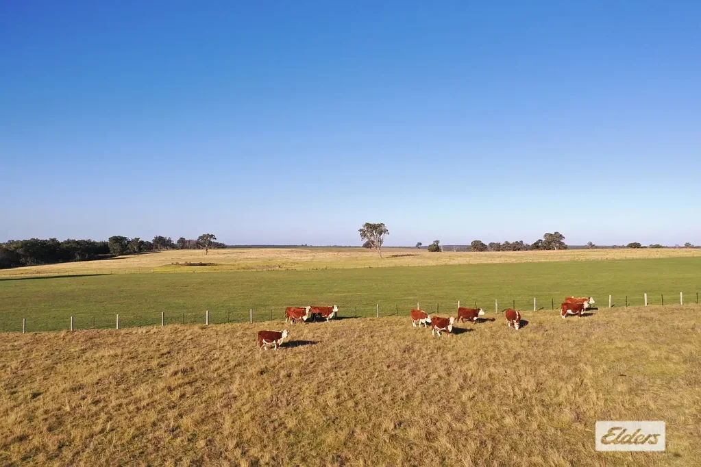 Stockdale  Stockdale grazing country