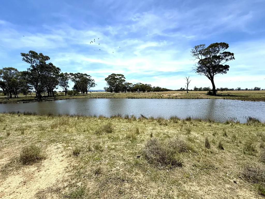 Quandialla 601 Acres – Quality Mixed Farming Country in the Quandialla District