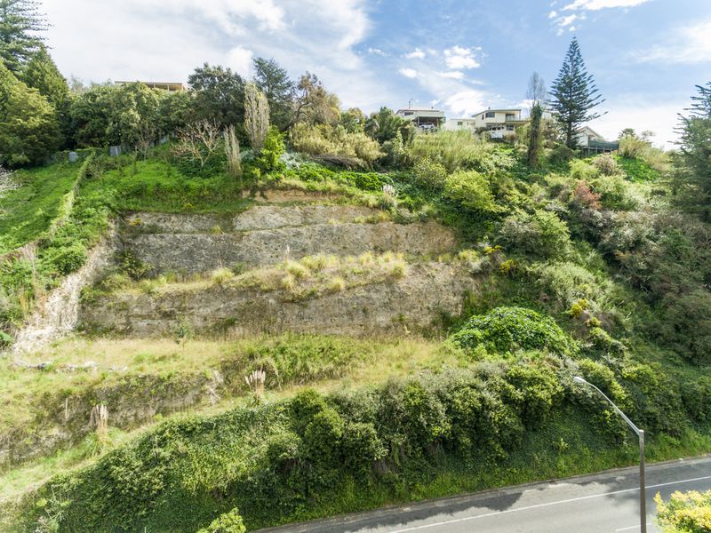 108a Shakespeare Road, Bluff Hill, Napier, 0房, 0浴