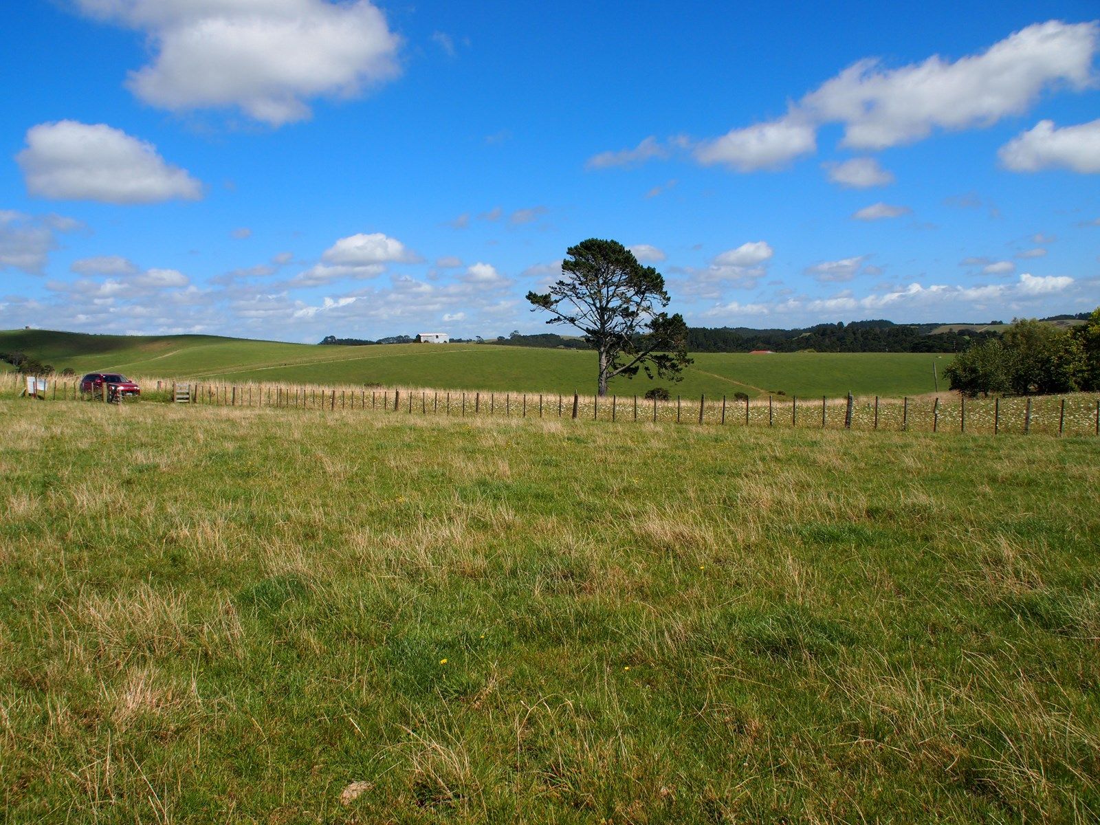 Rural  Rural Production Zone