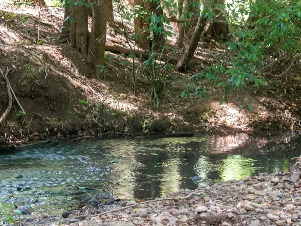 1 Back Creek Road, Brays Creek, NSW 2484