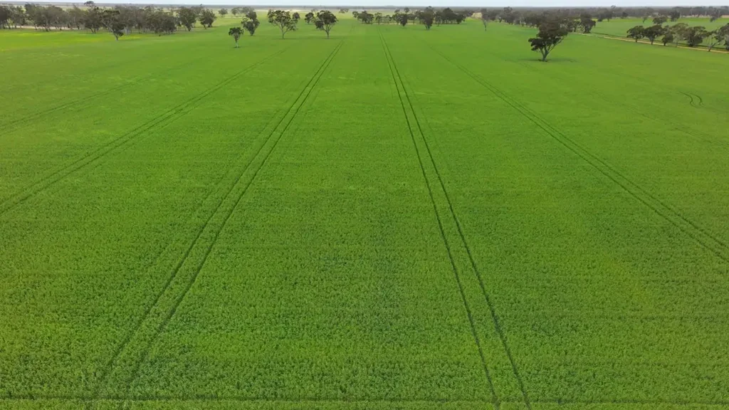 Serviceton Versatile Farming Land