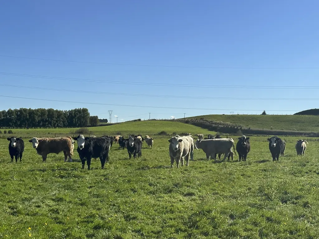 Winton Surrounds Well-located quality land in two titles