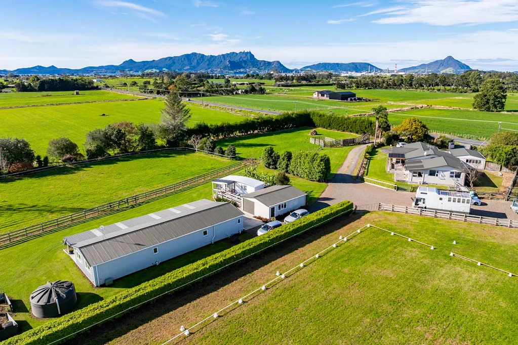 One Tree Point 4房  Horsing Around? Your Equestrian Dream Awaits!