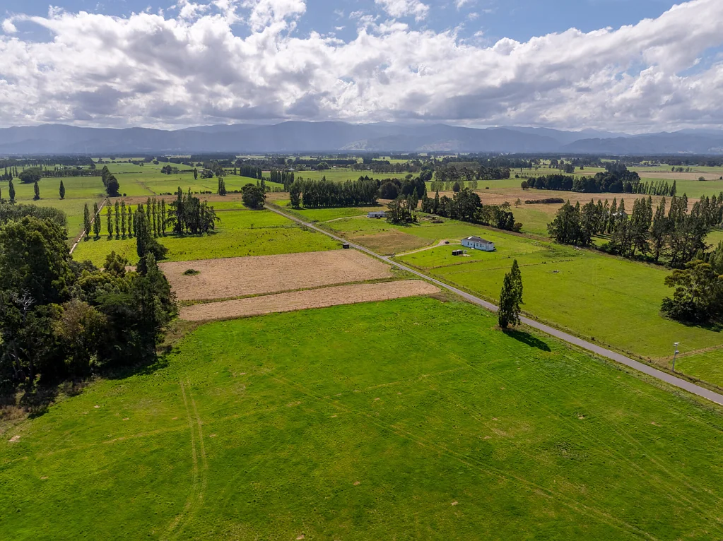Greytown Big Land, Big Views, Endless Potential