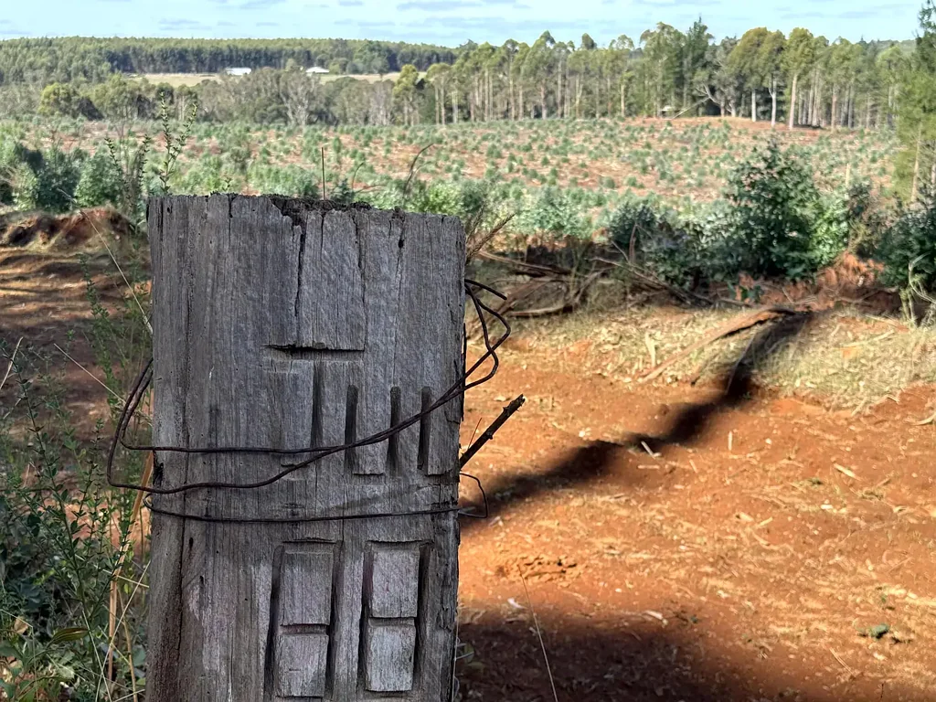 Manjimup  Secluded serenity
