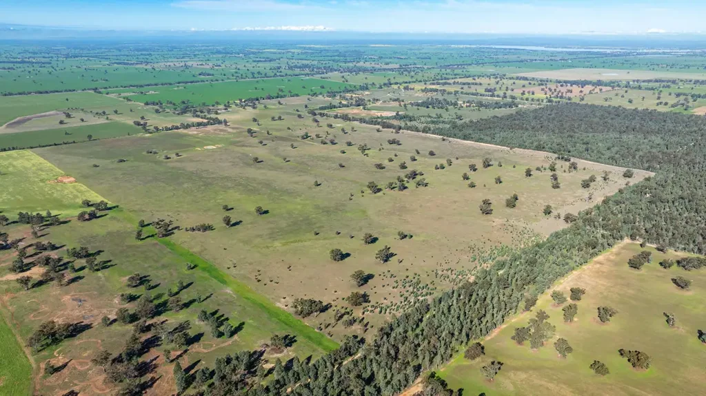 Mulwala  "Pine View"