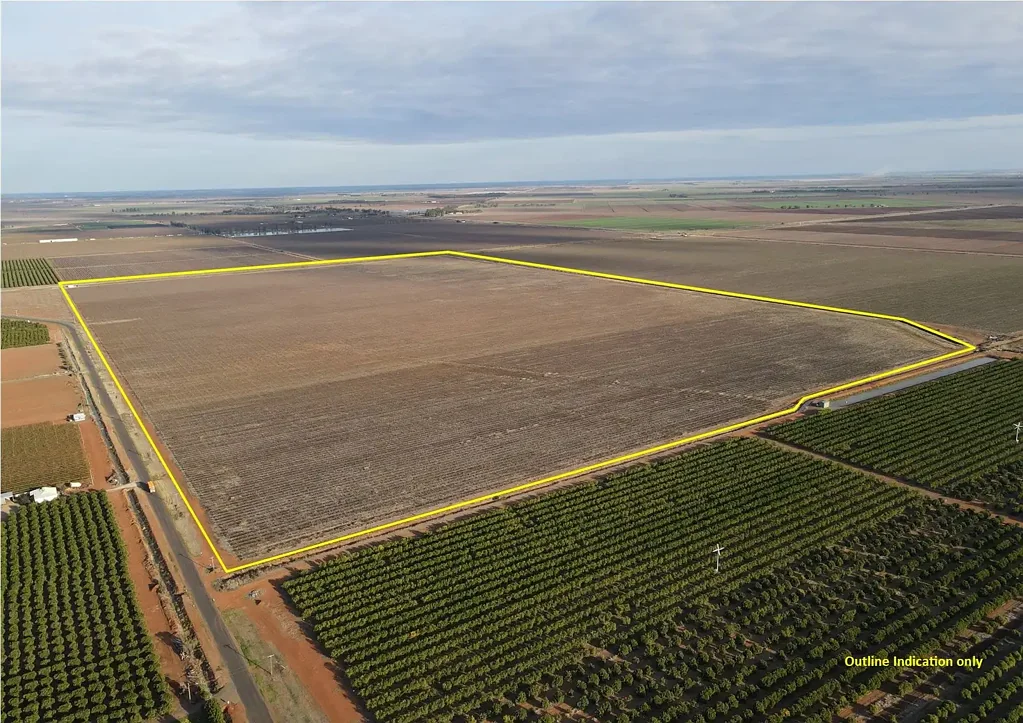 Tharbogang  Wine Grape Viticulture