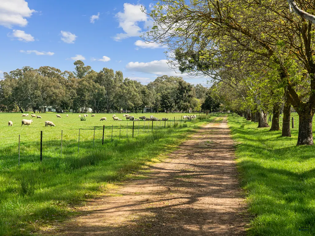 Benalla FOUR MILE GROVE -Attractive Rural 215 Ac to Farm, Divide or Develop