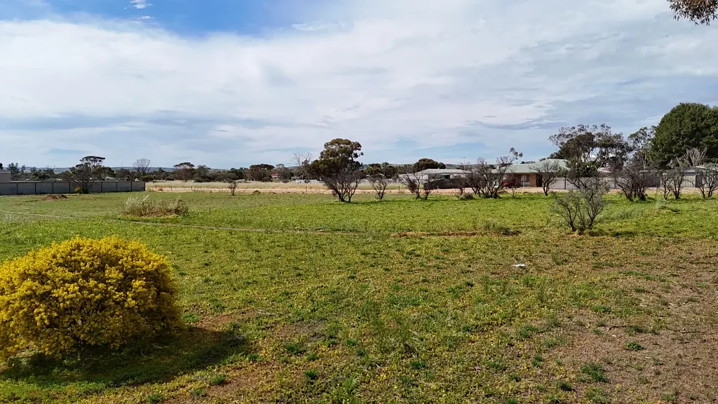 Crystal Brook Flexible Land Opportunity, Purchase One or All Four