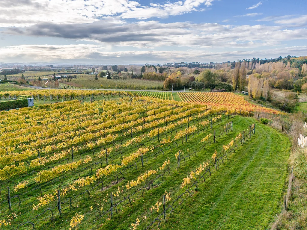 Havelock North Blank Canvas Awaits on River and Village Edge