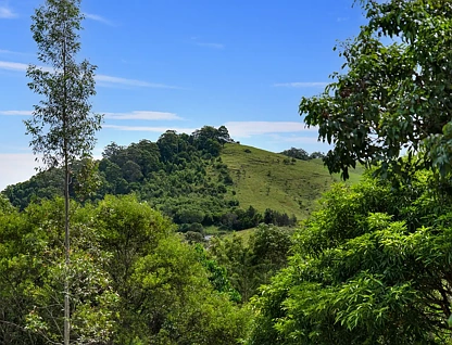 LOT 2/8 SeaBreeze Place, Boambee East, North Coast, 0 rūma, 0 rūma horoi, Section