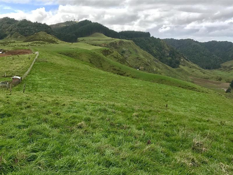 Te Mahoe Road, Mokau, Waitomo, 0 Schlafzimmer, 1 Badezimmer