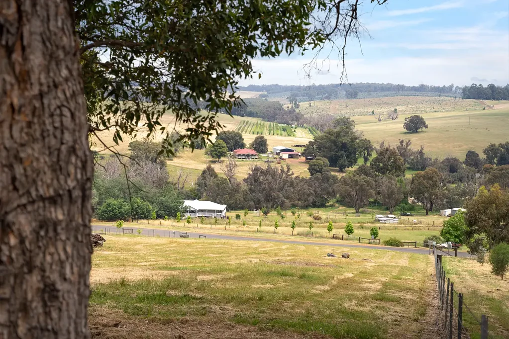 Bridgetown A Canvas of Country Dreams in Four Seasons Estate