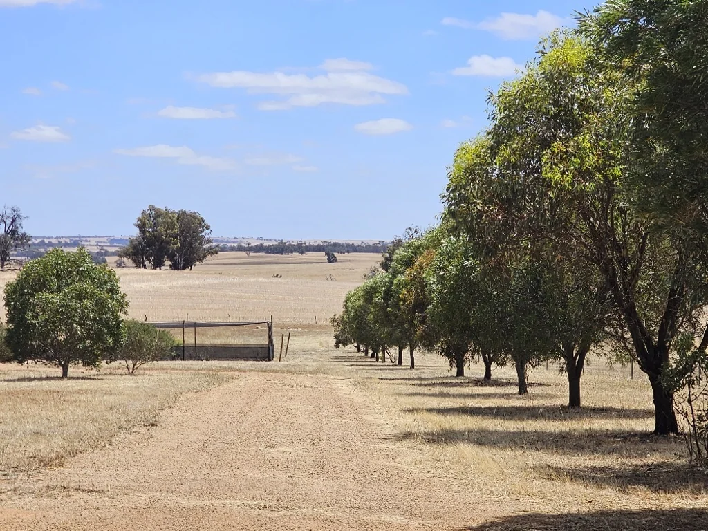 141 McDonald Road, Woodanilling, WA 6316