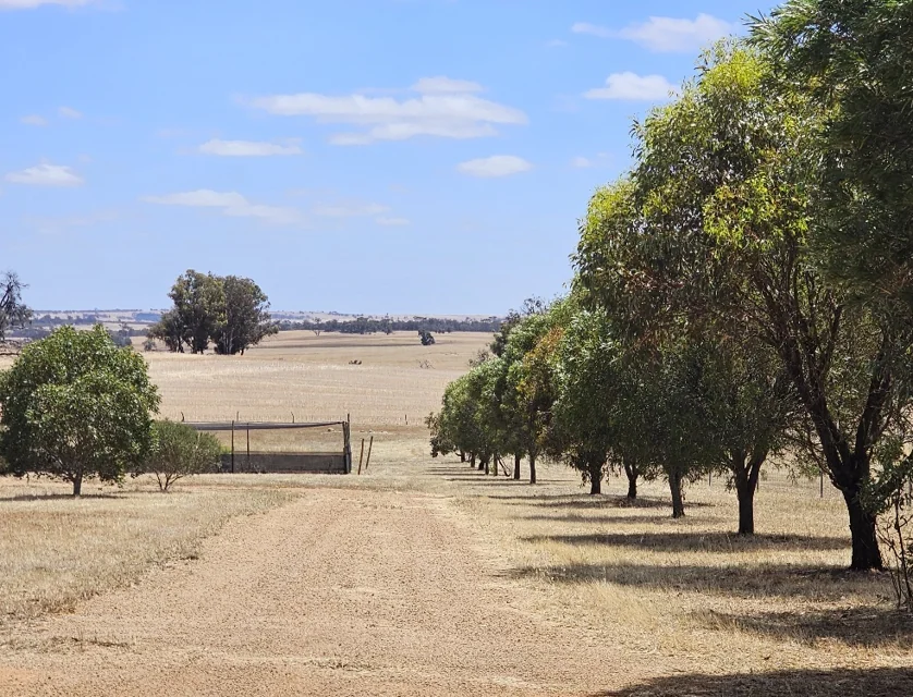 141 McDonald Road, Woodanilling, Wheat Belt, 2房, 1浴, Section