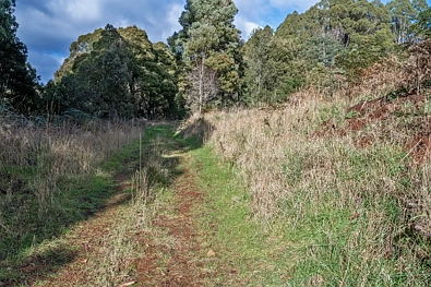 Adres Weerhou, Wilmot, TAS 7310, 0 slaapkamers, 0 badkamers, Lifestyle Property