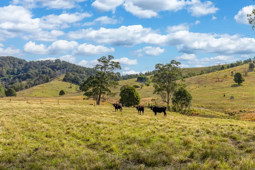 LOT Lots/34 & 158 Salisbury Road, Dungog, NSW 2420
