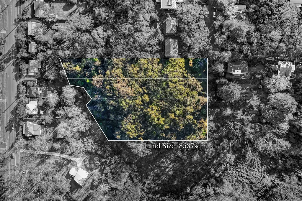 Leura 8,537sqm Development Potential in Prime Blue Mountains Location