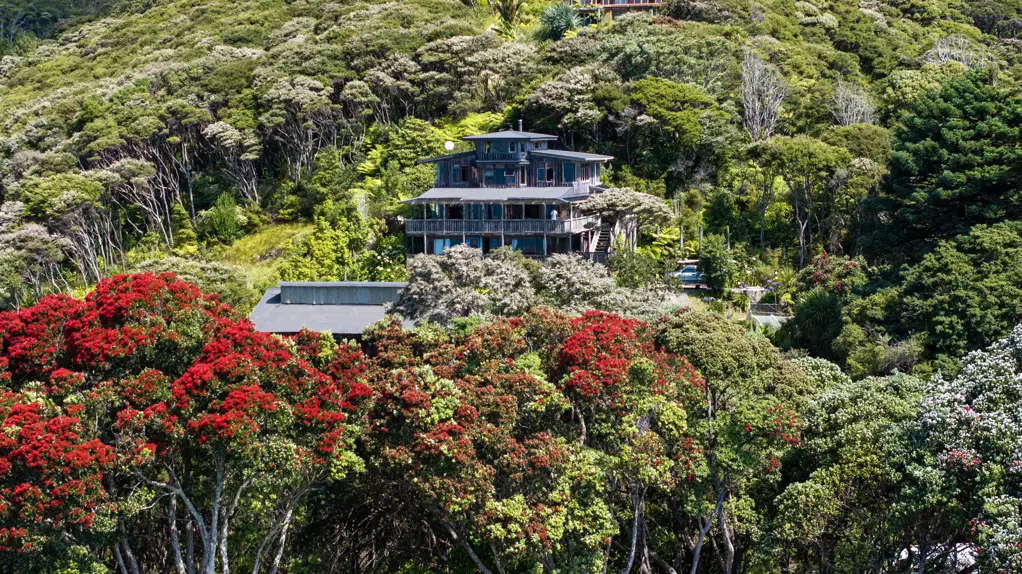 Raglan 4Kwarto Amazing views, walk to the waves- Now priced!