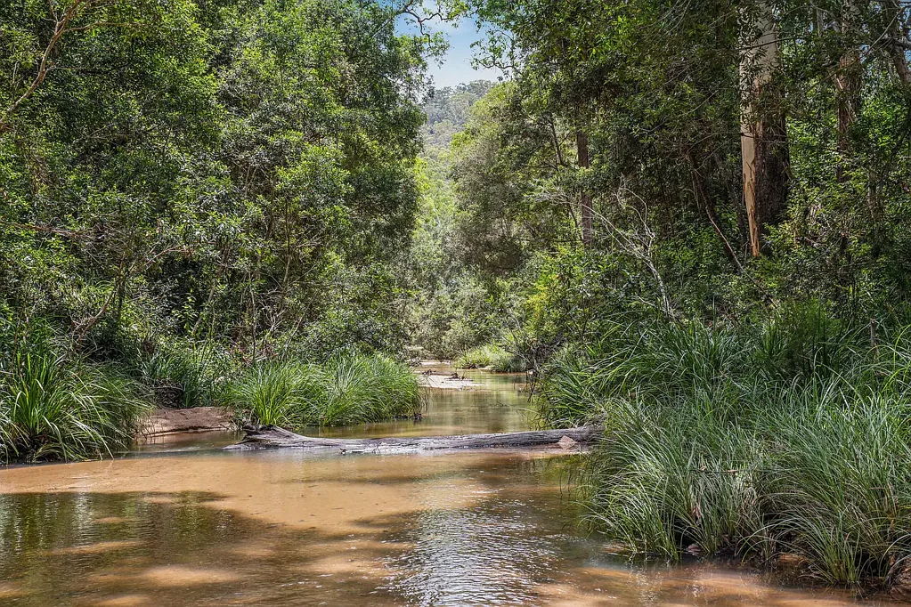 132 Sandstone Drive, Kremnos, NSW 2460