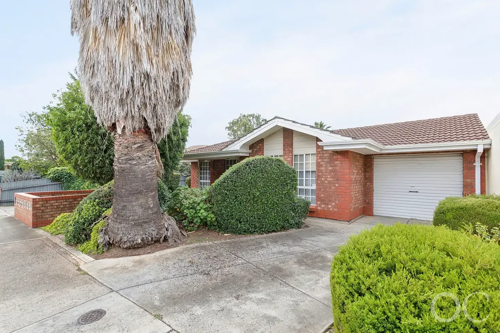 Woodville North 2chambre Open the Door to a Front Row Position With Serious Potential – Rare Opportunity on Generous Grounds
