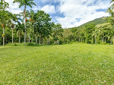388 Finlayvale Road, Finlayvale, QLD 4873, 0房, 0浴, Section