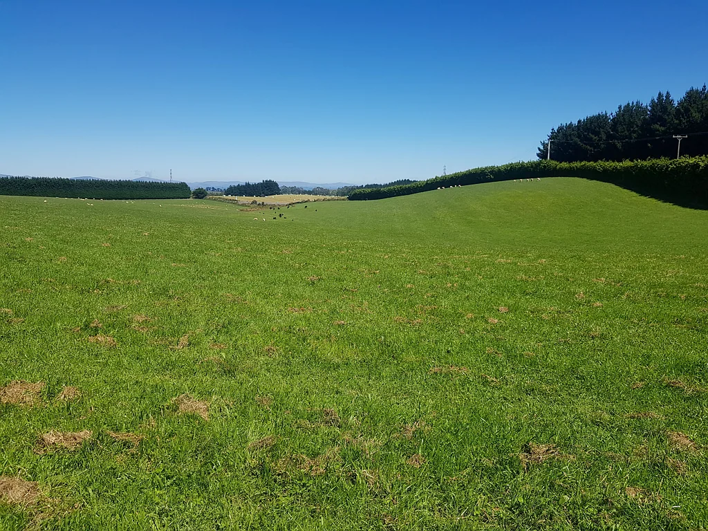 Balclutha  Prime Building Site -  Expansive Views