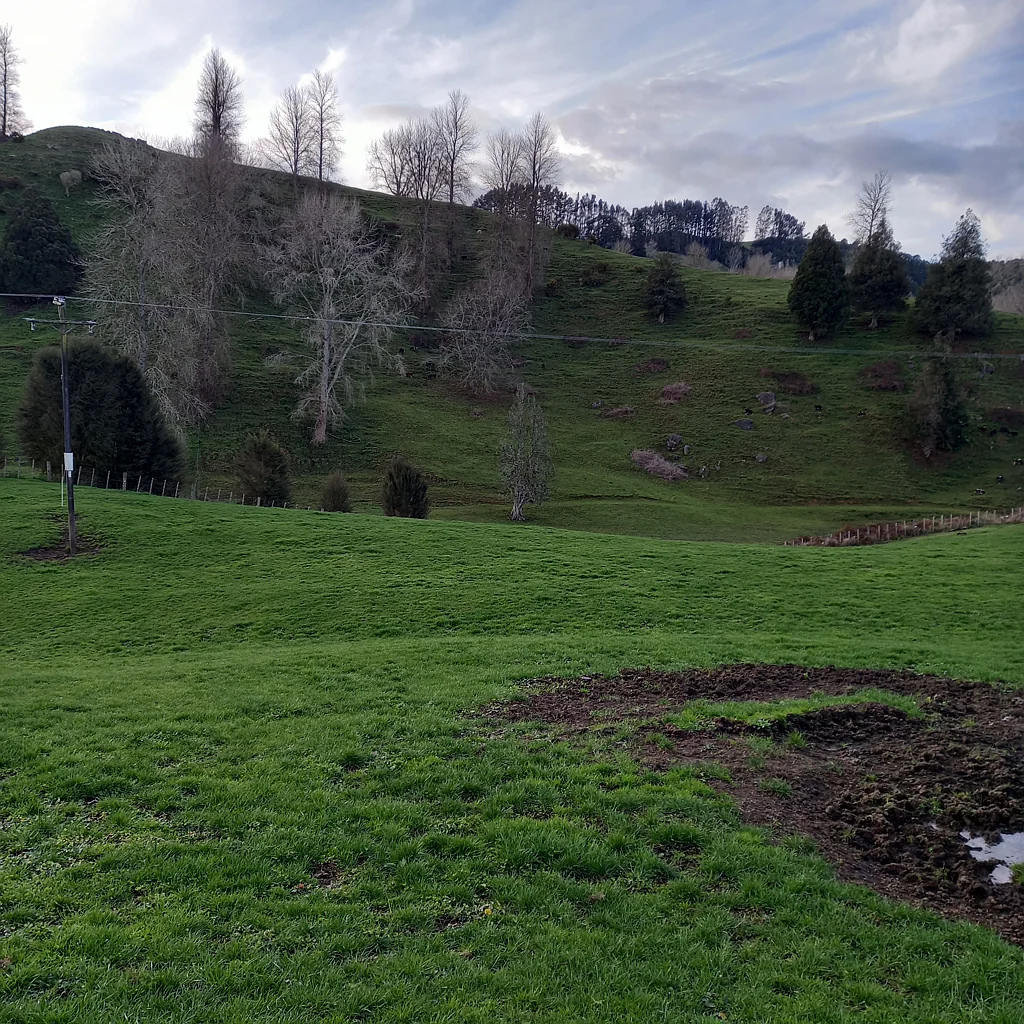 Otorohanga Build your new home here
