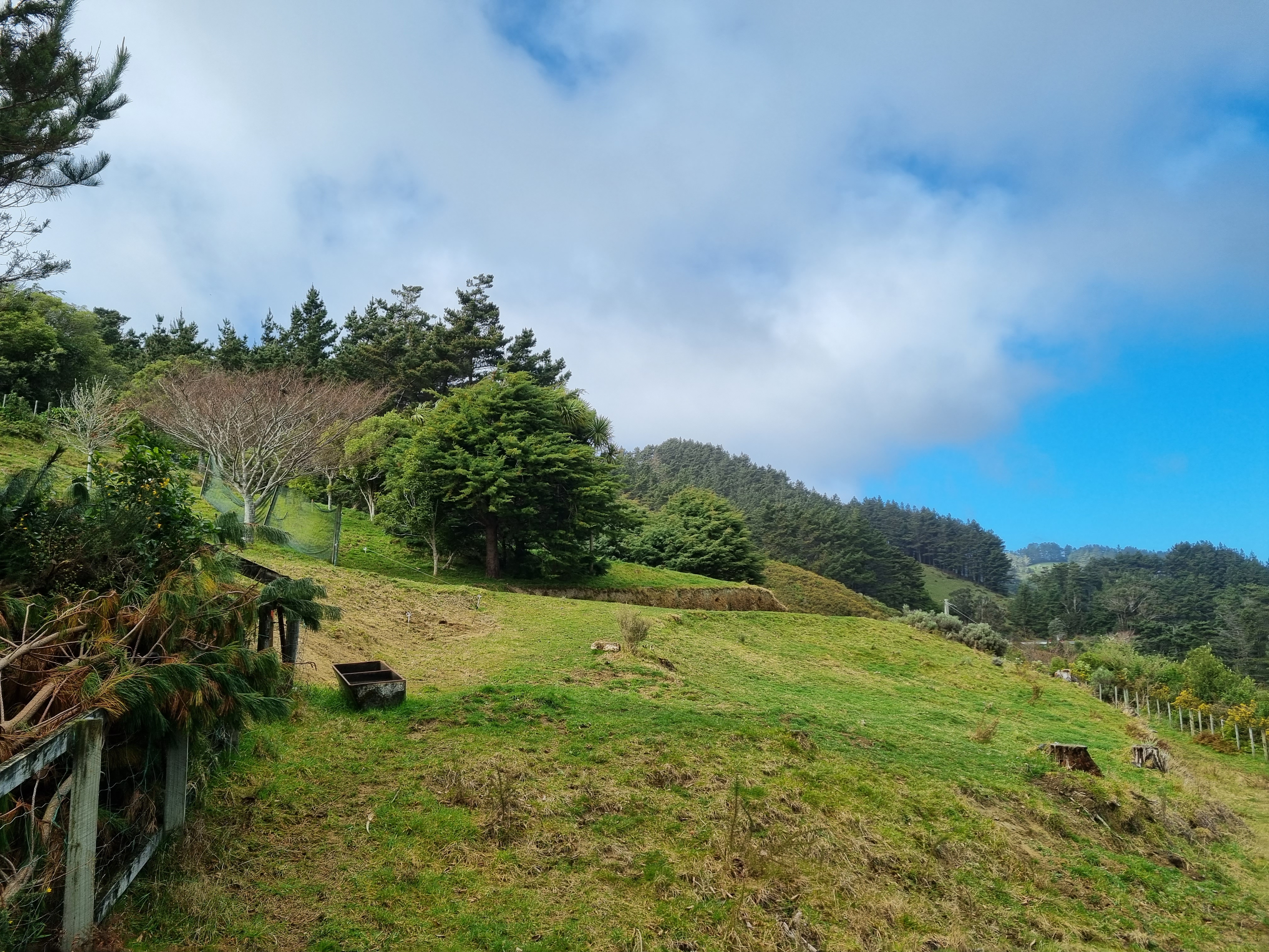 234 Stratton Street, Normandale, Lower Hutt, 0 Schlafzimmer, 0 Badezimmer, Lifestyle Section