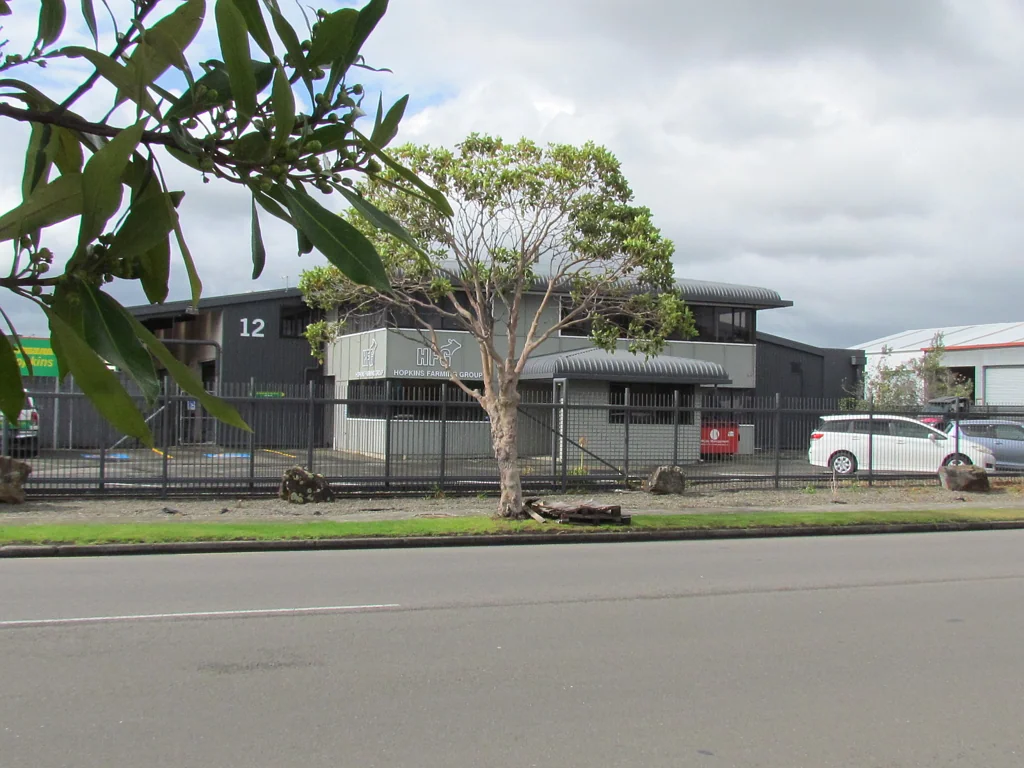 Roslyn For lease - well located on Mihaere Drive