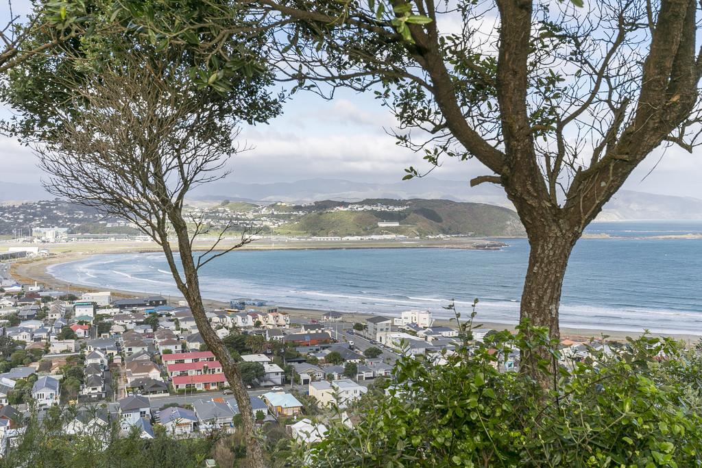 30 Carlton Street, Melrose, Wellington, 2房, 1浴