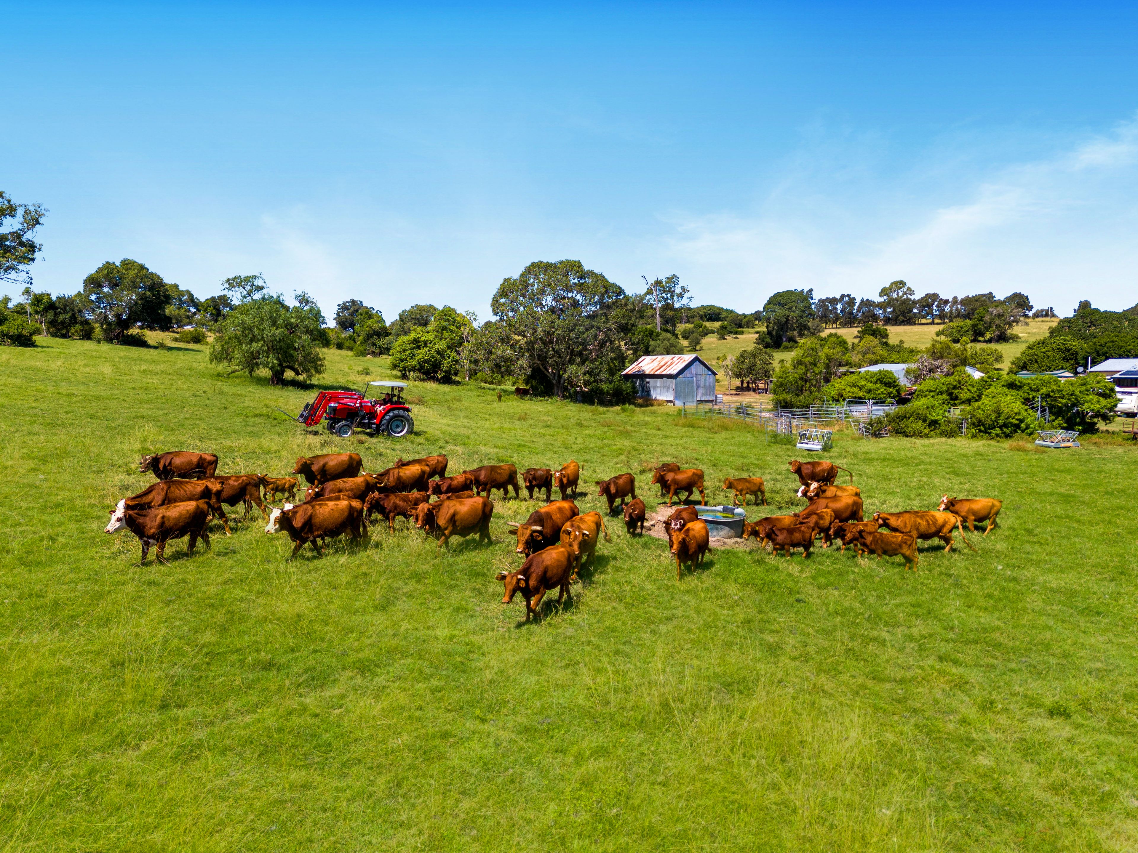 861 LOWOOD MINDEN RD, MINDEN QLD 4311, 0 chambres, 0 salles de bain, Lifestyle Property