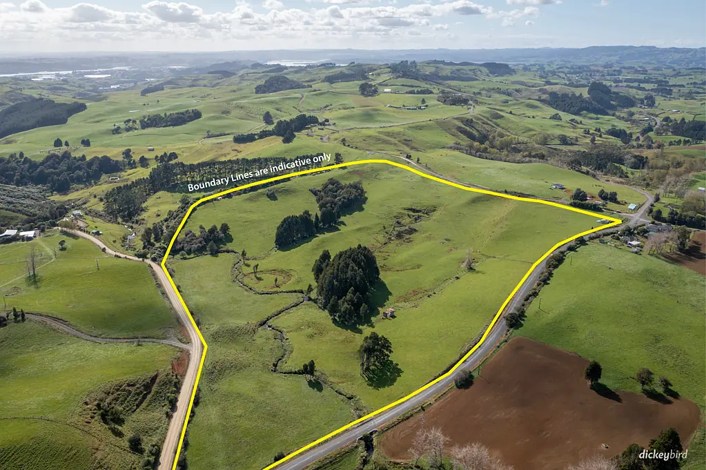 Raglan Just Stunning- 3 Titles of 15.04 ha - No Covenants