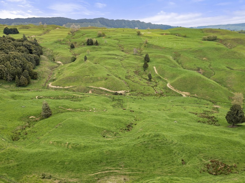 80 Parakoko Road, Aria, Waitomo, 3 침실, 0 욕실