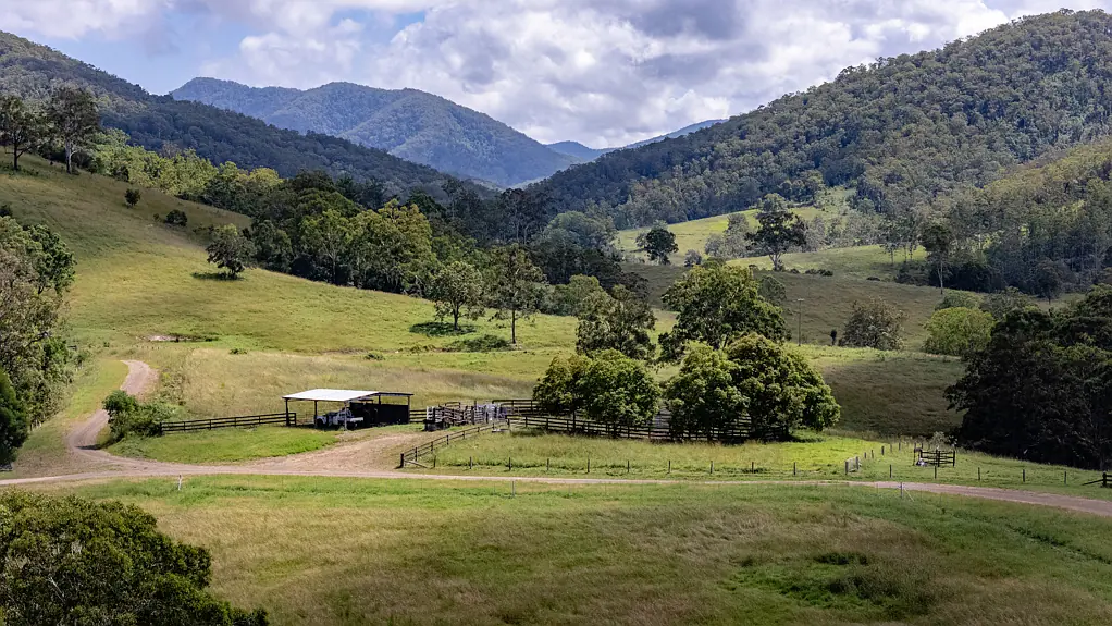 Mount George  'Oakdale'