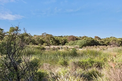 24 DIGGERS WAY, TORQUAY VIC 3228, 0房, 0浴, Section