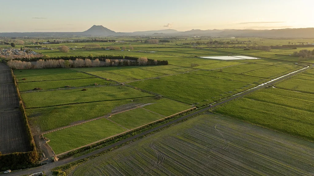 Edgecumbe  Build your peaceful country retreat