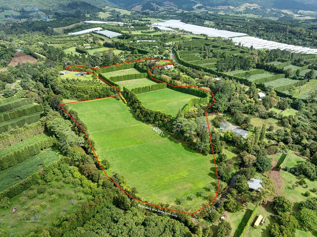 Katikati Premium Plantable Land