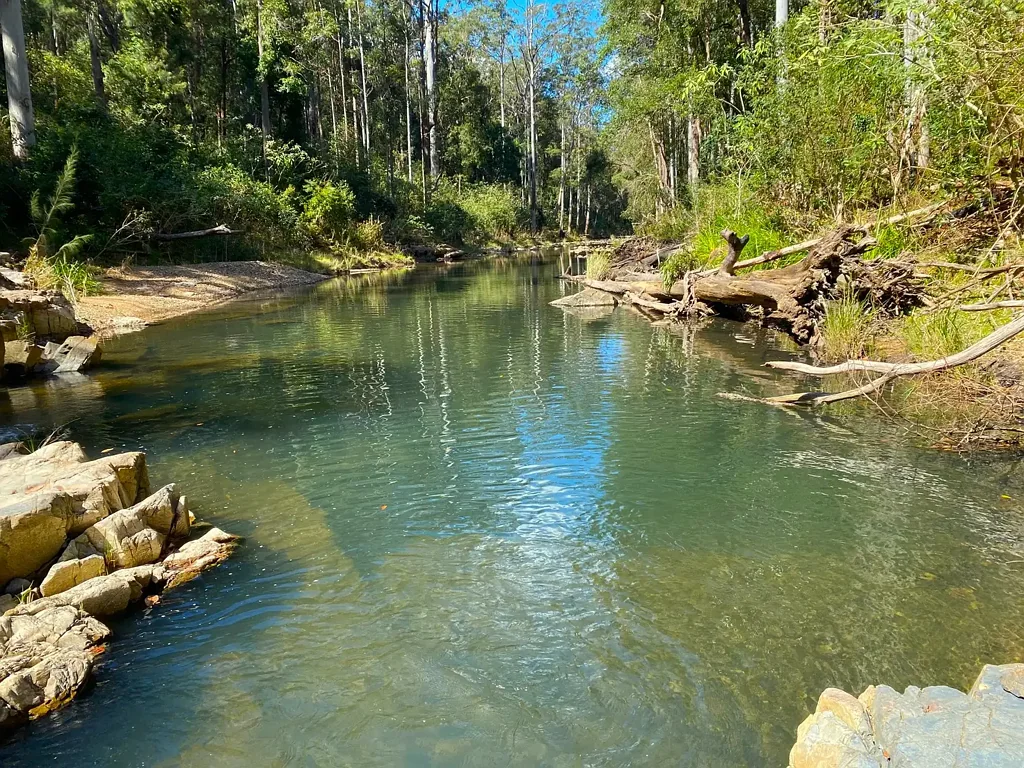 Hollisdale  901 acres, a nature lovers delight.