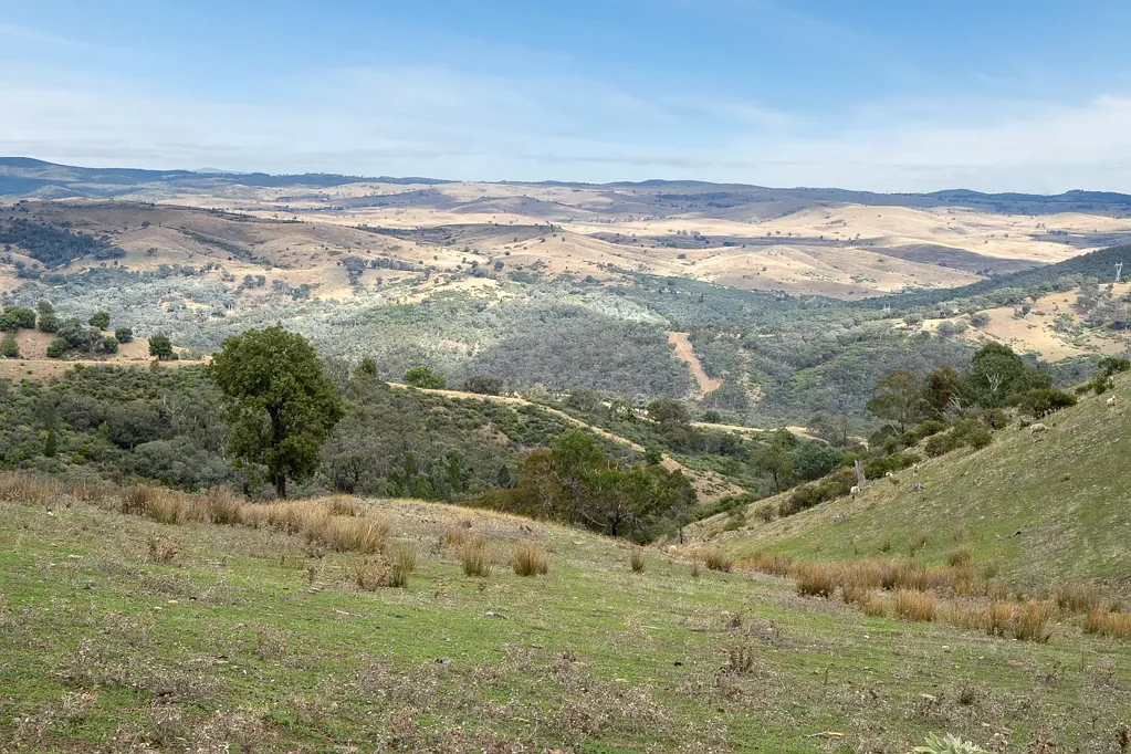 Euchareena ‘Morella’ – Premier Grazing Property with Exceptional Infrastructure