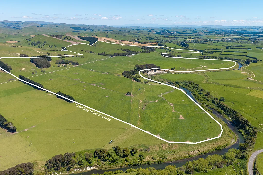 Dannevirke Quality grazing and runoff opportunity - 178 ha