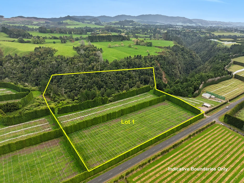 Lot 1/1010 Te Matai Road, Te Ranga, Western Bay of Plenty, Bay of Plenty
