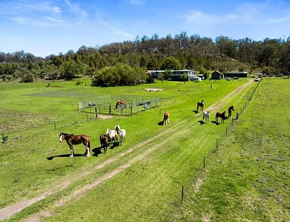 595 Goombungee Mount Darry Road, Goombungee, Darling Downs, 5 ห้องนอน, 2 ห้องน้ำ, Lifestyle Property