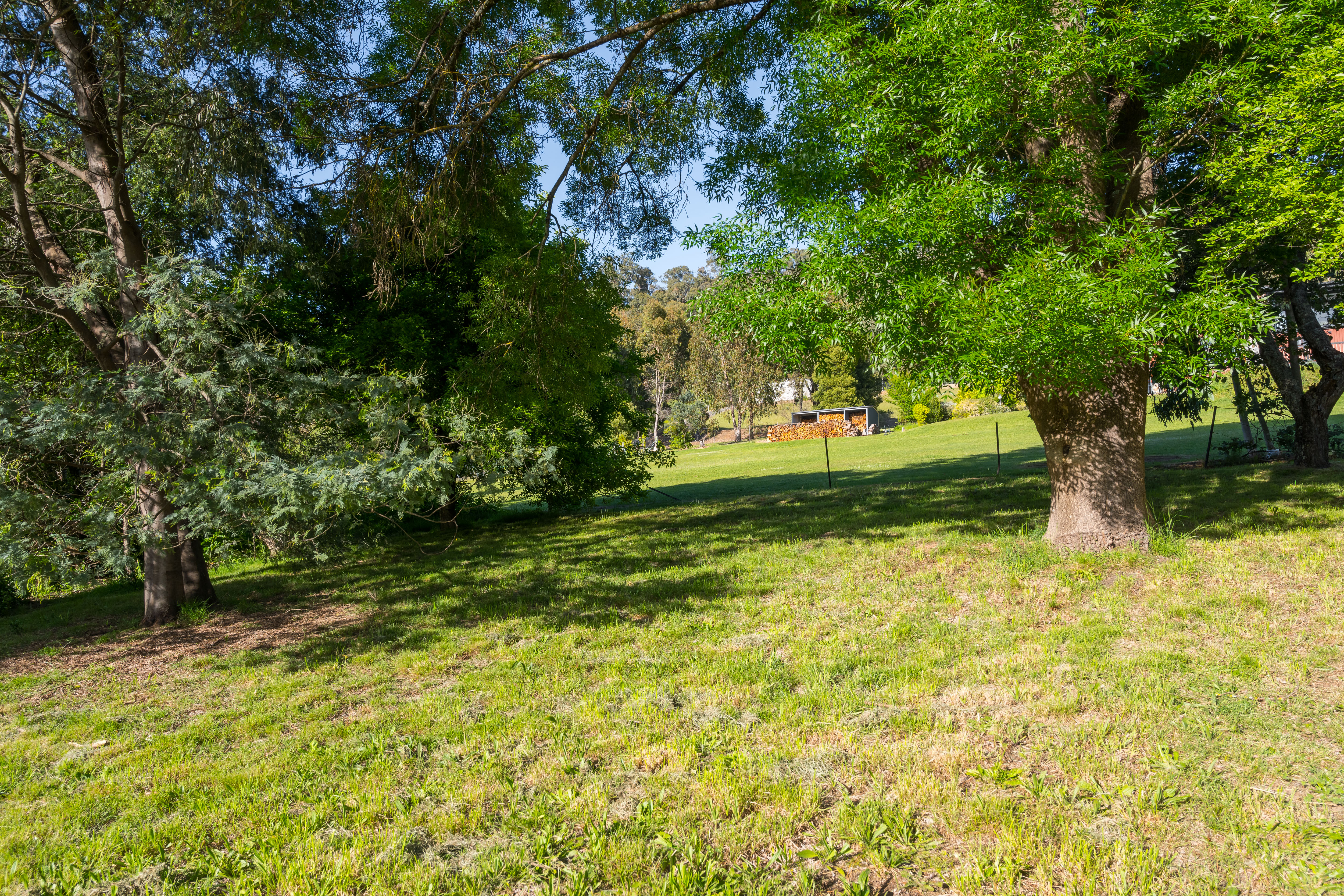 11 BUCKLAND ST, TAWONGA SOUTH VIC 3698, 0 chambres, 0 salles de bain, Section