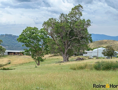 2340 Campfire Road, Walcha, Tamworth, 4 Bedrooms, 2 Bathrooms, Lifestyle Property