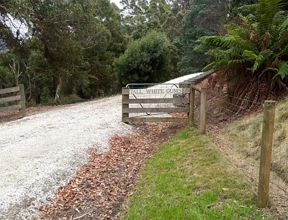 220 Raymond Road, Gunns Plains, TAS 7315, 4 ਕਮਰੇ, 2 ਬਾਥਰੂਮ, Lifestyle Property