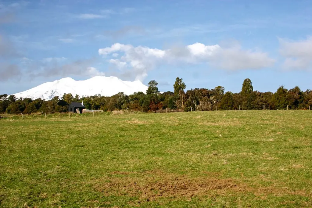 Ohakune Spread Your Wings In A Slice Of Paradise.